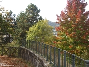 Vue vers le Parmont à travers des arbres multicolores